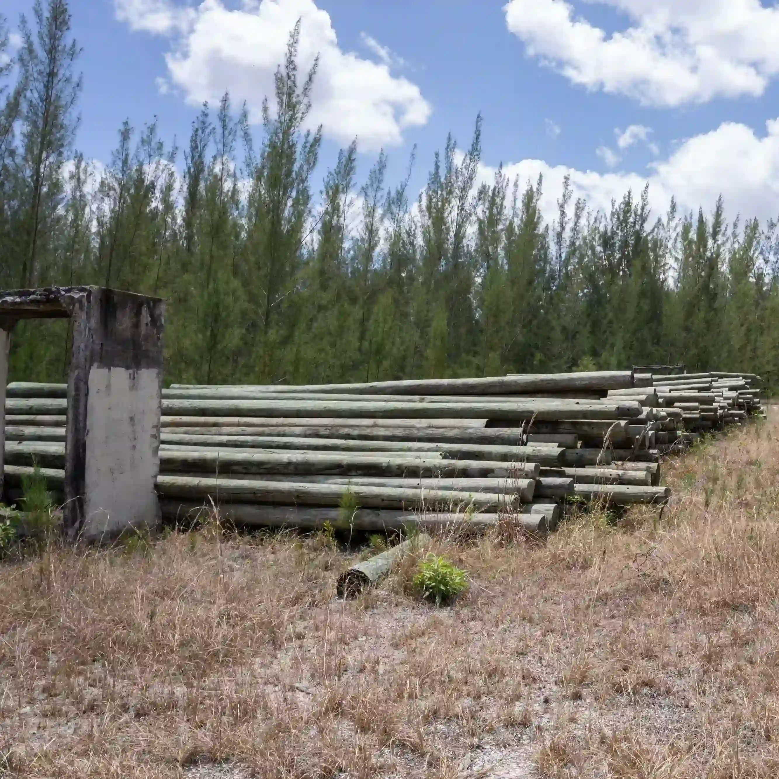 A picture of the construction area