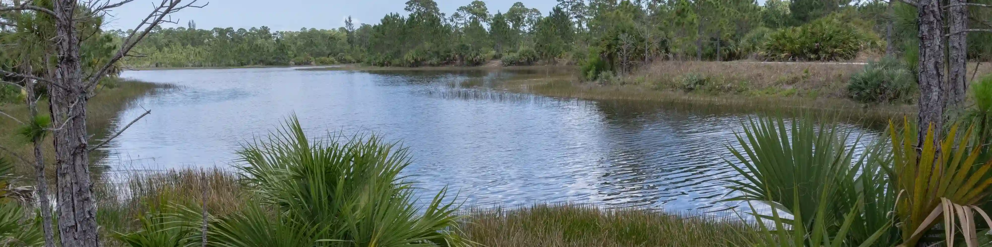 A background image of wet prairie